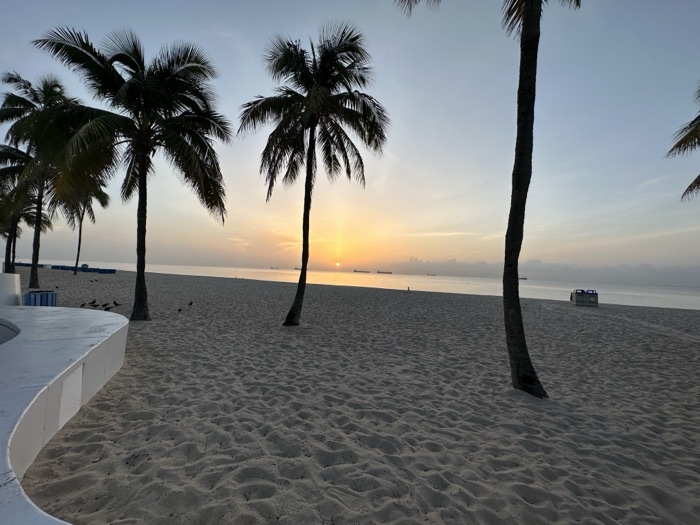 Palm trees at sunrise on a Florida beach